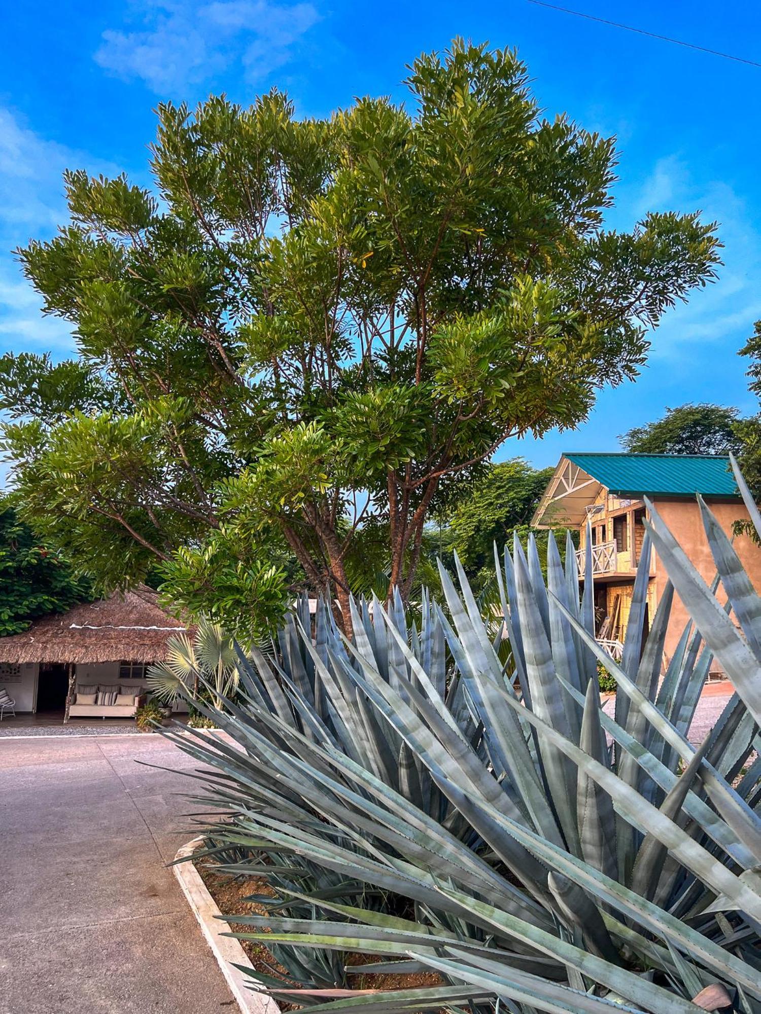 Villas El Encanto Jalpan Exterior photo